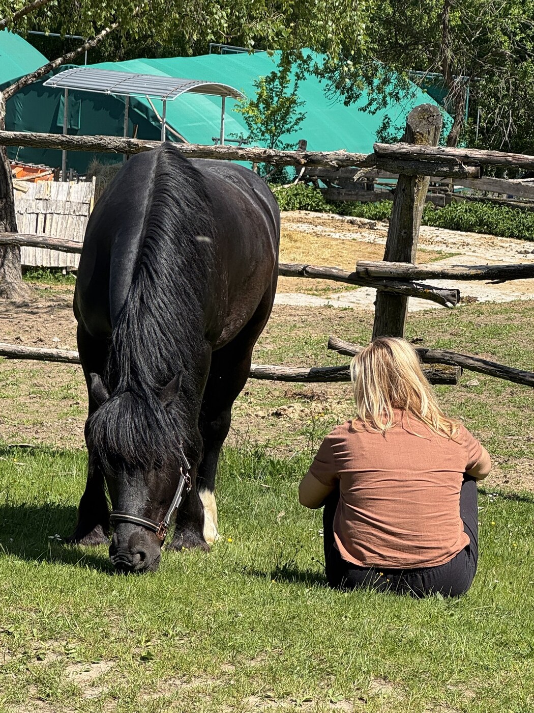 Martina Pražáková with her horse Dunaj in the pasture